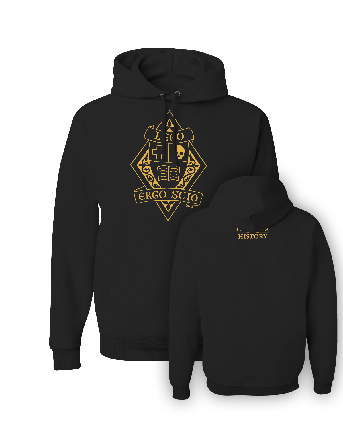 Unisex Lego Ergo Scio hoodie